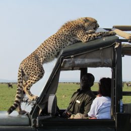 Best Holiday Travel Destination- Kenya And Tanzania