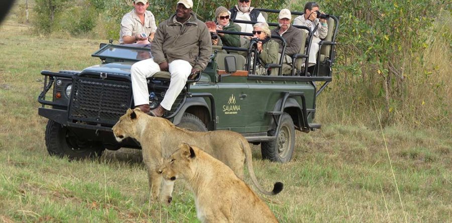 Why African Safari Tours Are Becoming Popular