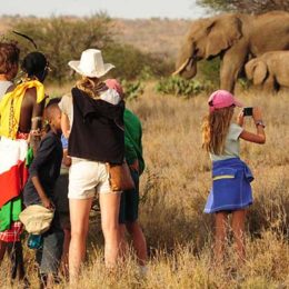 Why Family Safari Tours Are Increasingly Becoming Popular