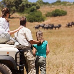 How to decide the best Kenya Family Safari Trip?