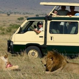 Do This If You Would Like To Enjoy African Safari Tours