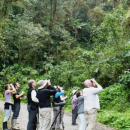 Little Wildness forthe Wildlife Excursions to Nairobi