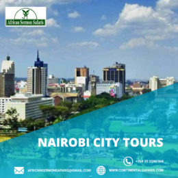 Things To Do in Kenya | Enjoy Day Tours in Nairobi | ﻿