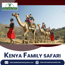 How to Organize Kenya Safari Holidays With Family