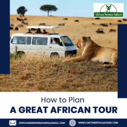 How to Plan A Great African Tour