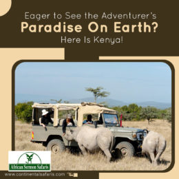 Eager to See the Adventurer’s Paradise On Earth? Here Is Kenya!