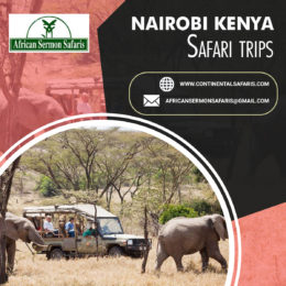 What Dimensions make Nairobi Kenya Safari Trips Special ?