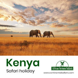 Kickstart Vacation By Exploring Africa’s Exciting Packages