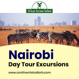 African Safari Holidays: Visit Nairobi