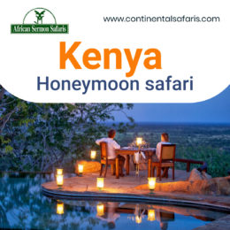 Kenya Holidays: A Perfectly Happy Place with Wildlife and Beaches