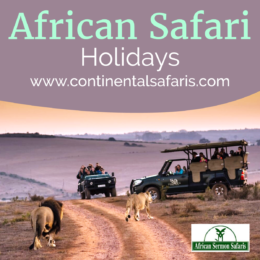 Things to Know before you Plan an African Safari Holiday