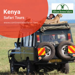 Safari Tours Can Become Surreal Quickly With A Smart Provider