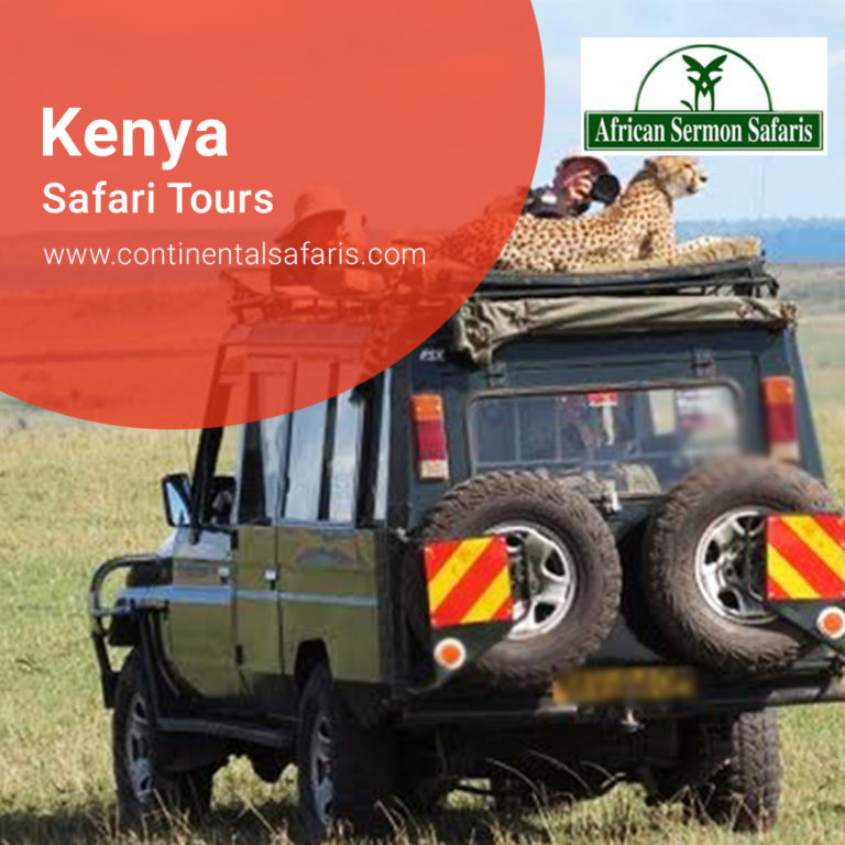 safari tours consultant