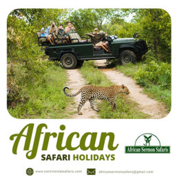 Tanzania Lodge Safari Holidays- Essential Things You Need to Know