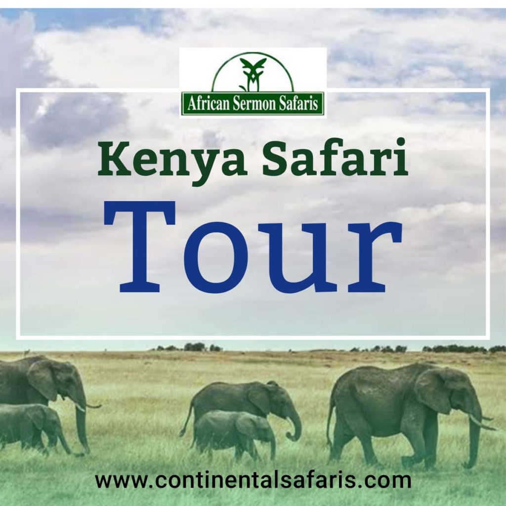 Kenya-safari-tour-packages