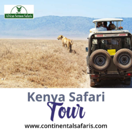 Masai Mara: A Window into Wilder Nature