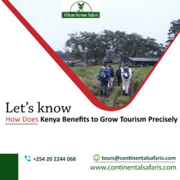 Let’s know How Does Kenya Benefits to Grow Tourism Precisely